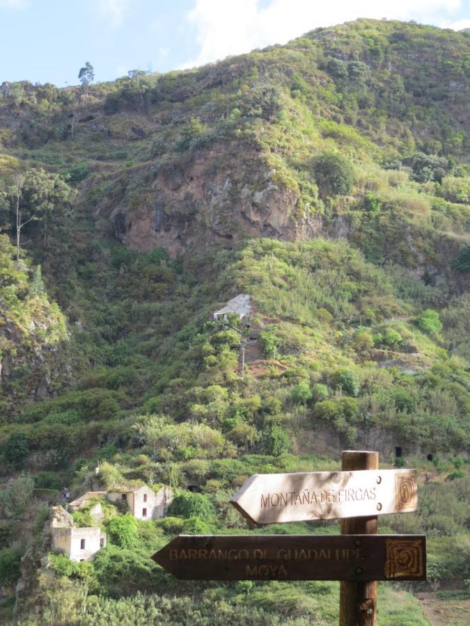 La Cueva De Angel B&B Firgas Ngoại thất bức ảnh